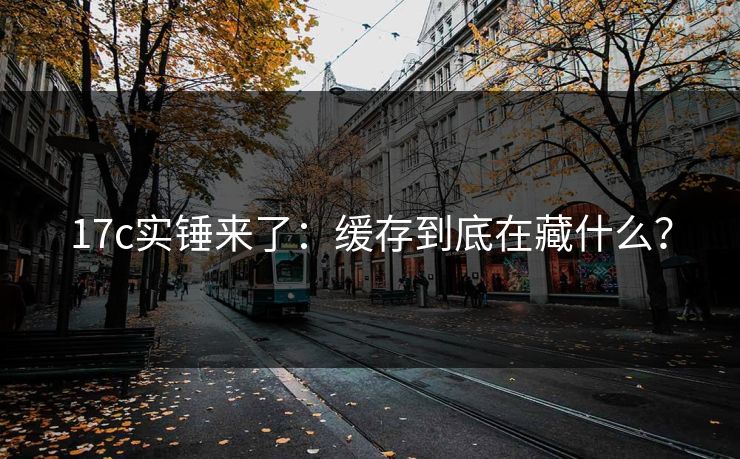 17c实锤来了：缓存到底在藏什么？