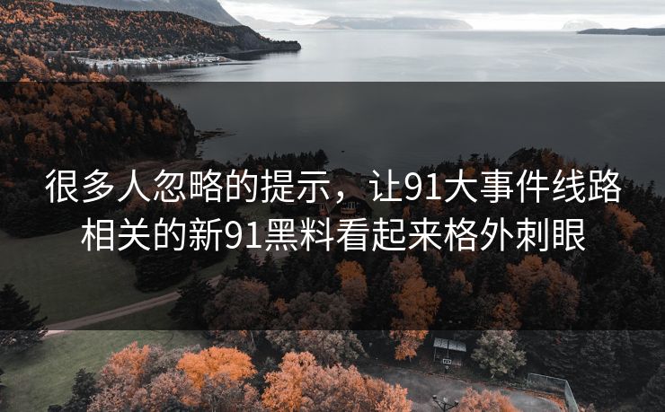 很多人忽略的提示，让91大事件线路相关的新91黑料看起来格外刺眼